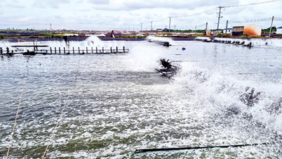 سماجی و اقتصادی ترقی کو فروغ دینے کے لیے صلاحیتوں اور فوائد کا اچھا استعمال کرنا۔