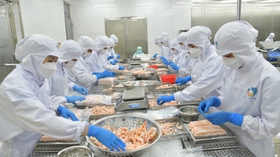 Ожидается, что экспорт морепродуктов установит новый рекорд.