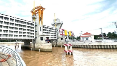 Investir dans les infrastructures permettra d'accroître la production de fleurs et de plantes ornementales.
