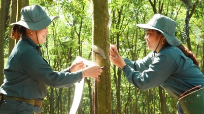 VRG legt eine wichtige Grundlage für Wachstum im Zeitraum 2026-2030.