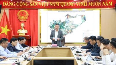 إزالة الصعوبات بشكل حاسم وتسريع تقدم عملية تطهير المواقع للمشاريع الرئيسية في منطقة ماي لام.