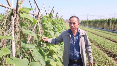 PGS mejora los estándares de producción y la cadena de valor de las hortalizas seguras