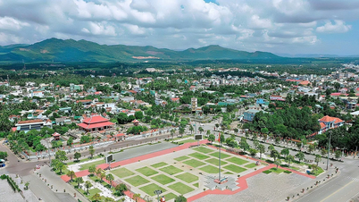 کمیته‌های محلی حزب مصمم هستند که قطعنامه کنگره را با موفقیت اجرا کنند.