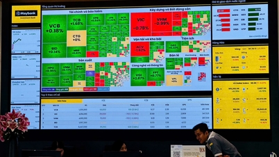 Le marché boursier de décembre privilégie l'accumulation, avec des opportunités qui s'ouvrent au sein du groupe des valeurs fondamentales.