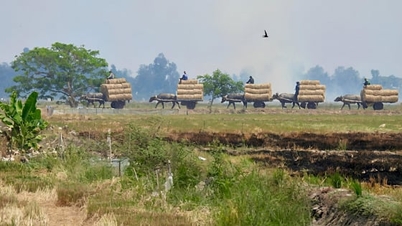 El jardín ecológico Hoang Hao es atractivo por sus cosas sencillas