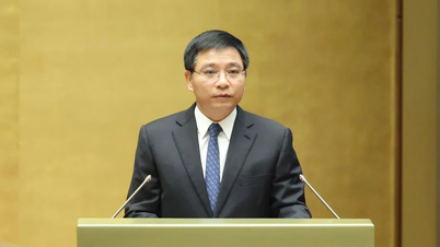 Yıllık geliri 500 milyon VND'nin altında olan işletme sahibi haneler kişisel gelir vergisi ödemek zorunda değildir.