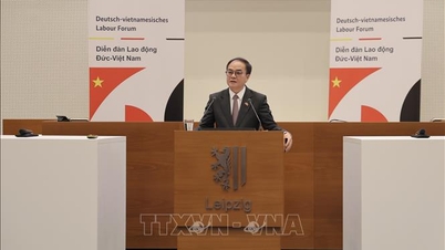 เวียดนาม-เยอรมนี ส่งเสริม 'การหมุนเวียนทรัพยากรมนุษย์'
