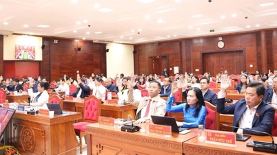 Provincia Dak Lak emite o rezoluție privind sprijinul și utilizarea fondurilor...