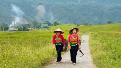 Medios de vida al pie del bosque de Pu Luong