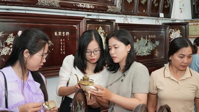 Chuyen مائی کسانوں کے ساتھ امیر ہونے اور غربت کو پائیدار طریقے سے کم کرنے کے لیے ہے۔