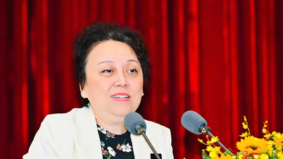 Direktør for Ho Chi Minh-byens avdeling for mattrygghet: «Mange skoler velger kjente matleverandører»