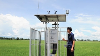 'Mata Dewa' menjaga sawah