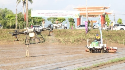 Teknologi memberi dorongan baru bagi pertanian di Quang Ngai.