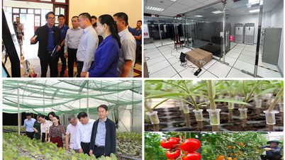 Das Ministerium für Wissenschaft und Technologie hat ein Rundschreiben zur Regelung der Unterstützung von Aktivitäten zur Verbesserung der wissenschaftlichen und technologischen Kapazität herausgegeben.