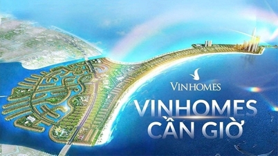 Чому міжнародний транзитний порт Кан Джіо є важелем перетворення Vinhomes Green Paradise на «острів мільярдерів»?