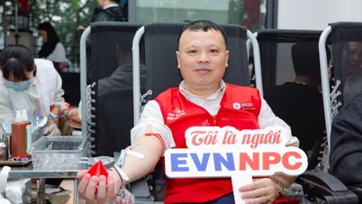 ای وی این این پی سی: ہمدردی پھیلانے کا 11 سالہ سفر