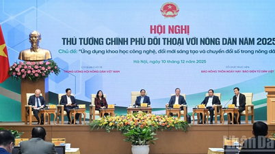 科学技術、イノベーション、デジタル変革を農家に積極的に適用します。