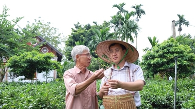 کمون سوئی های: از یک منطقه فقیرنشین قومی موونگ تا نقطه‌ای روشن بدون خانوارهای فقیر