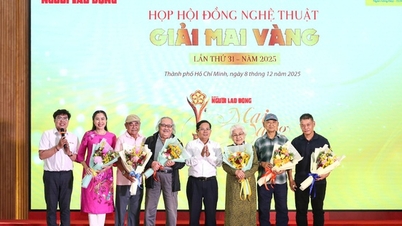 31-я премия «Золотой абрикос» от Художественного совета — 2025 год...