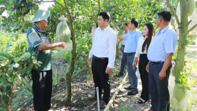 Sürdürülebilir tarımsal ekonomik kalkınma