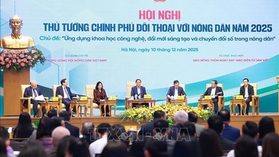 Agricultură - Fermieri - Zonele rurale sunt pilonii economiei