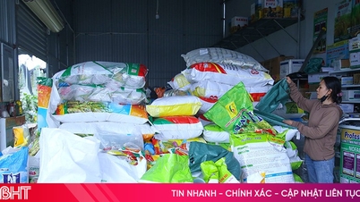 Varför är priset på vårrisfrön i Ha Tinh högre än marknaden utanför provinsen?