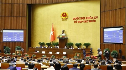 การลงคะแนนเสียงอนุมัติกฎหมายสองฉบับ ได้แก่ กฎหมายว่าด้วยการจัดเก็บภาษี และกฎหมายว่าด้วยการออมและการต่อต้านการสิ้นเปลือง