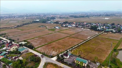 Los residentes de Ha Tinh acuerdan reubicarse para servir al proyecto ferroviario de alta velocidad