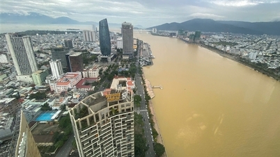 فوری آمدنی آپ کو ترقی کے تمام راستے سے محروم نہ ہونے دیں۔