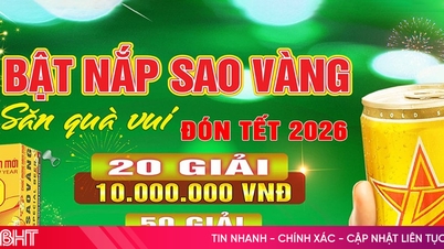 साओ वांग स्पेशल बियर 250ml के साथ टेट के लिए खुशनुमा उपहारों की तलाश करें