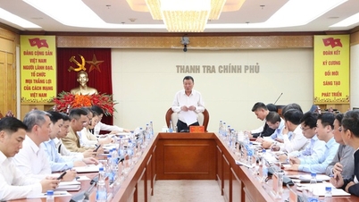 Government Inspectorate: Number of citizen consultations increased by over 20%.