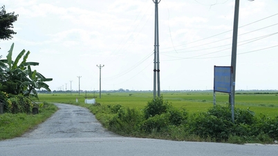 התמקדות בפינוי אתרים עבור פרויקט פארק התעשייה טראן דואנג - הואה בין