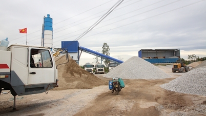 בק נין: טיפול קפדני בהפרות סביבתיות בפרויקטים של בנייה