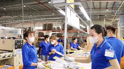 La posición de la Patria en el flujo de integración