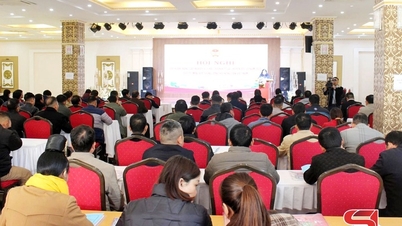 Pelatihan tentang pengembangan ekonomi kolektif dan transformasi digital pada tahun 2025