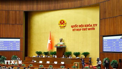 Majelis Nasional memilih untuk meloloskan dua undang-undang: Undang-Undang Pajak dan Undang-Undang tentang Hemat dan Anti-Sampah.