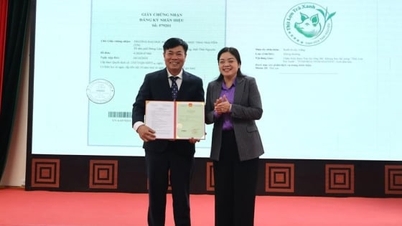 সবুজ চা শুয়োরের মাংস: [ধারা ২] থাই নগুয়েনের নতুন বিশেষ ব্র্যান্ড