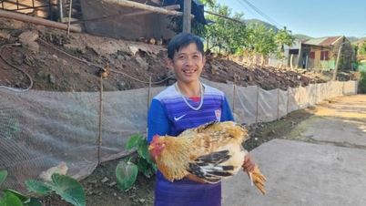 তিয়েন ইয়েনে মুরগি পালন করে অনেক পরিবার টেকসইভাবে দারিদ্র্য থেকে মুক্তি পাচ্ছে