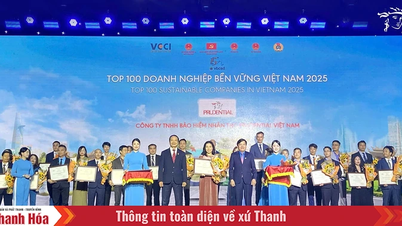Prudential telah diberi penghormatan buat kali ke-9 berturut-turut dalam 100 Perusahaan Pembangunan Lestari Terbaik di Vietnam.