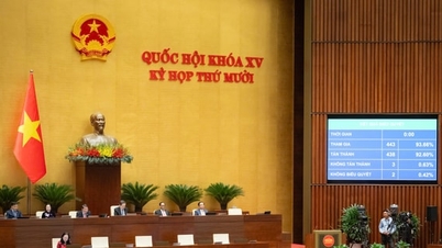 A Nemzetgyűlés „véglegesítette” az üzleti háztartások és magánszemélyek adómentes bevételét évi 500 millió VND-ben.