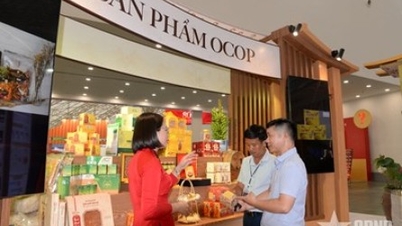 निन्ह बिन्ह नए ग्रामीण क्षेत्रों के निर्माण की दिशा में मजबूती से कदम बढ़ा रहा है।