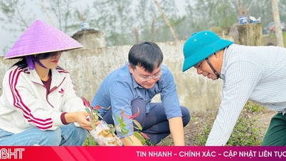 A Ha Tinh-i part menti erdők lépésről lépésre történő helyreállítása.