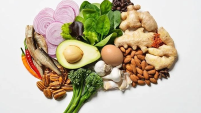 بهترین غذاها برای سلامت مغز بعد از ۴۰ سالگی