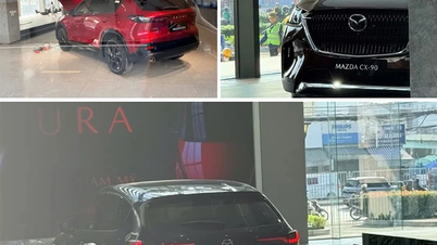 نئی نسل کی مزدا SUVs کی تینوں، CX-5، CX-60، اور CX-90، ویتنام پہنچ گئی ہیں۔