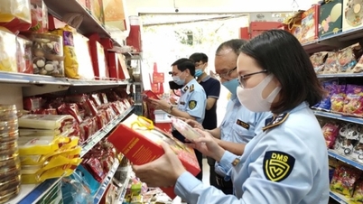 Az ipar és a kereskedelem szakosított ellenőrzési eljárásaira vonatkozó előírások