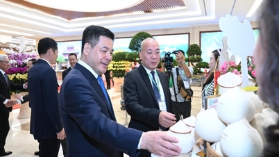 ក្រសួង​ឧស្សាហកម្ម និង​ពាណិជ្ជកម្ម​ឈរ​ក្បែរ​វិស័យ​កសិកម្ម កសិករ និង​ជនបទ។