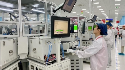 उद्योग और व्यापार मंत्रालय तकनीकी मानकों और विनियमों पर कानून लागू करता है