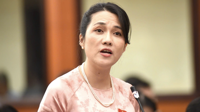 Representantes questionaram os líderes do departamento sobre a entrega de comida online e os serviços de refeições para estudantes na cidade de Ho Chi Minh.