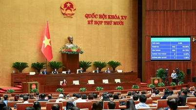 រដ្ឋសភា​អនុម័ត​ច្បាប់​សន្តិសុខ​អ៊ីនធឺណិត