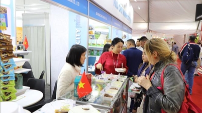 المنتجات الزراعية الفيتنامية في رحلتها لغزو أسواق الشرق الأوسط وأفريقيا.